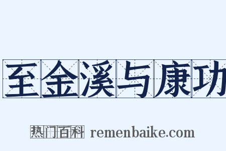 至金溪与康功是什么意思的图片
